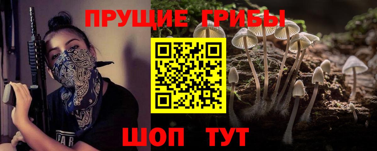 Галлюциногенные грибы мицелий Губаха