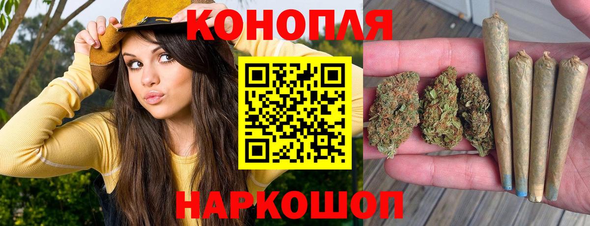 Губаха  Бошки марихуана гибрид  Вход с VPN  Марихуана Bruce Banner  Канабис сатива  Конопля семена 